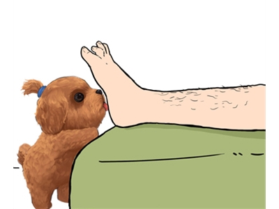 情商和智商